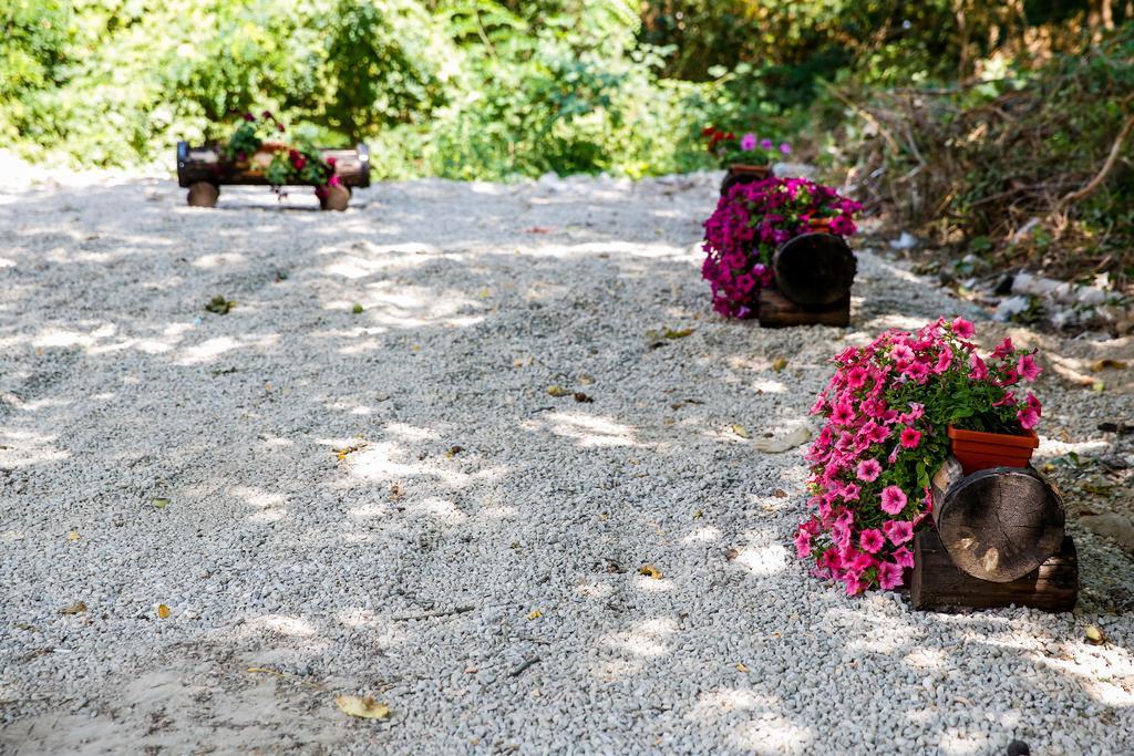 Villa Drecheva Ognyanovo  Esterno foto